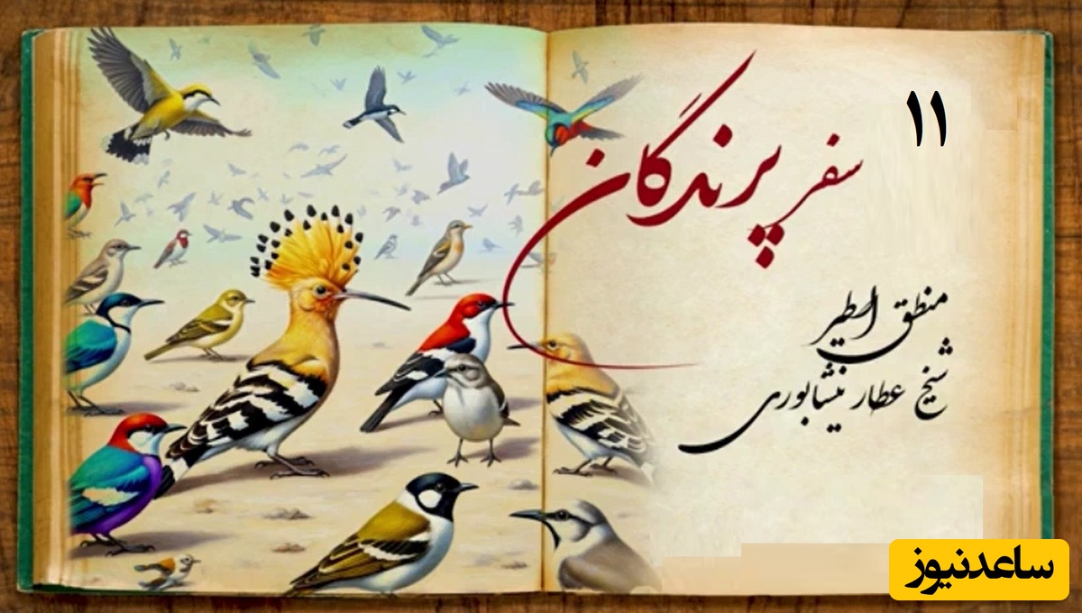 داستان‌های کوتاه و زیبایی که باید بشنوید/ جذابترین حکایت منطق الطیر عطار، بخش 11؛ هدهد و  پرسش پرندگان/ عشق جسارت می‌خواهد و ...