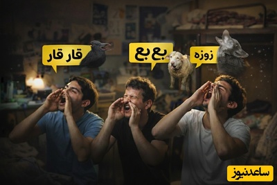 فیلم | خلاقیت پسران در تبدیل خوابگاه دانشجویی به جنگل 😂 / راز بقا؟ نه ممنون، ما خودمون خوابگاه داریم ...