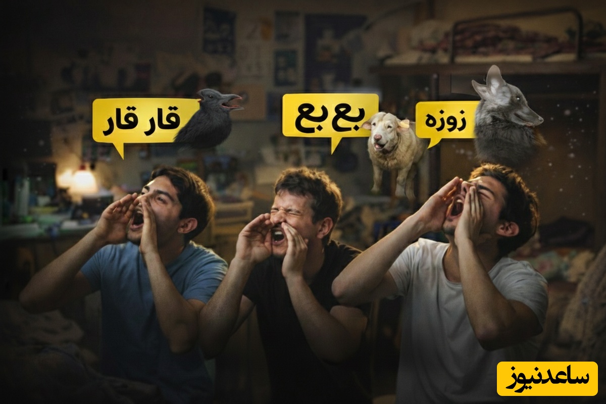 فیلم | خلاقیت پسران در تبدیل خوابگاه دانشجویی به جنگل 😂 / راز بقا؟ نه ممنون، ما خودمون خوابگاه داریم ...