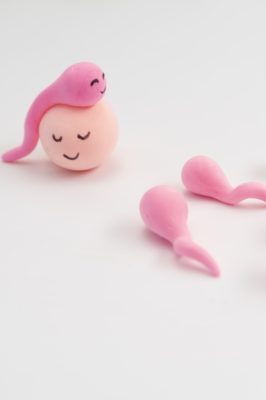 حرکت اسپرم (Motility)