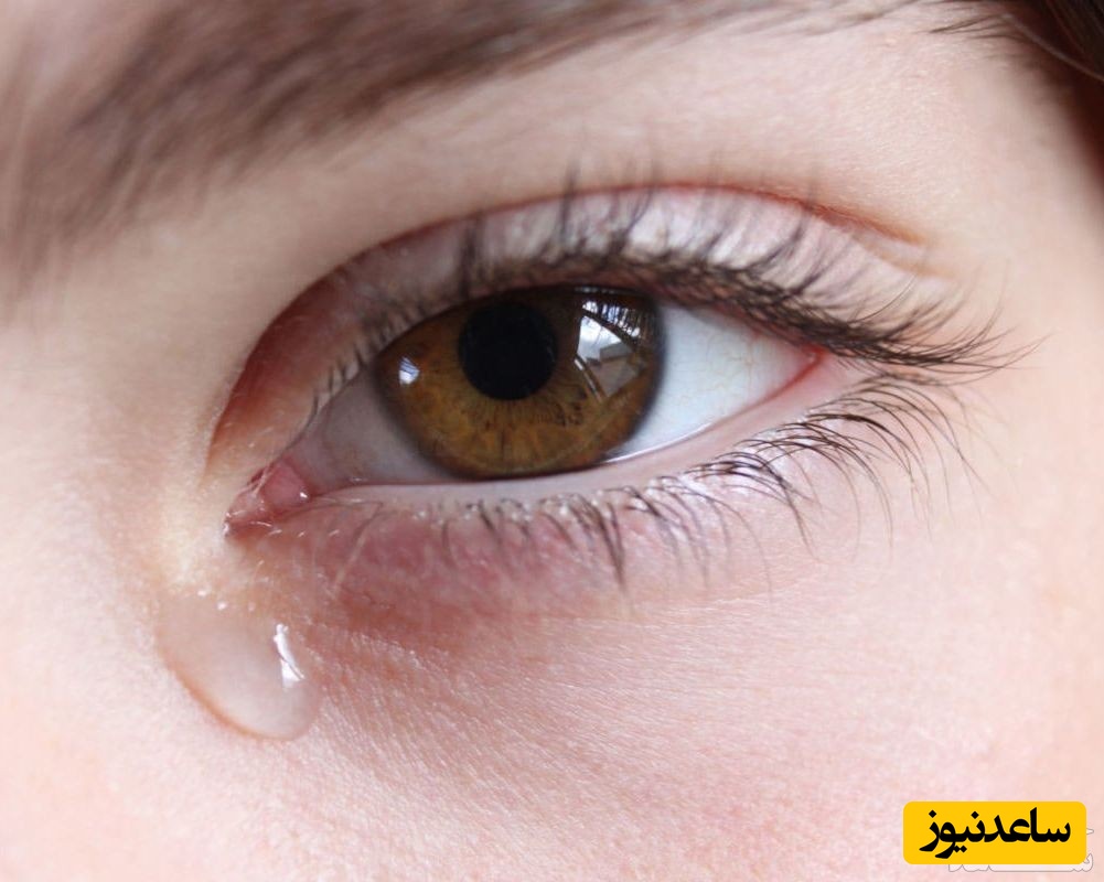 اشک ریختن از سر شوق چه فوایدی دارد؟