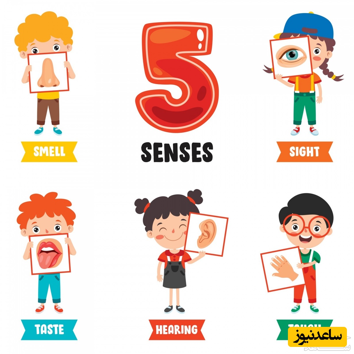 چگونه حواس پنجگانه را به کودکان با بازی آموزش دهیم؟