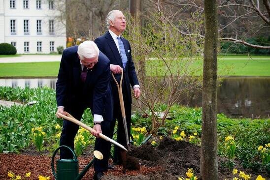 پادشاه انگلیس و رییس جمهوری آلمان در حال کاشت نهال درخت در کاخ اقامتگاه رییس جمهوری آلمان در برلین/ رویترز