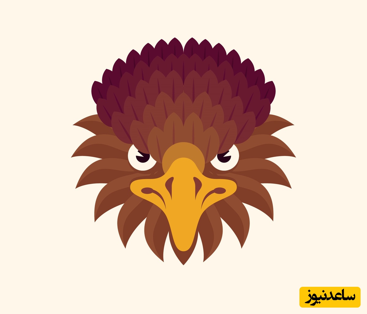 چشم عقاب داری؟ این معما مال توئه!