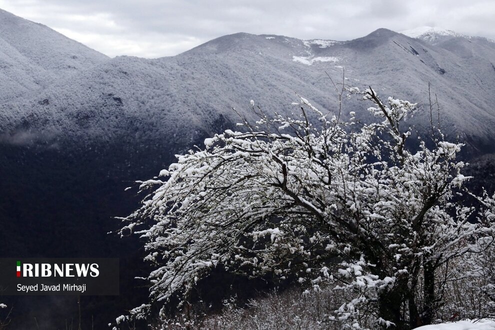 بارش برف بهاری در ارتفاعات گلستان