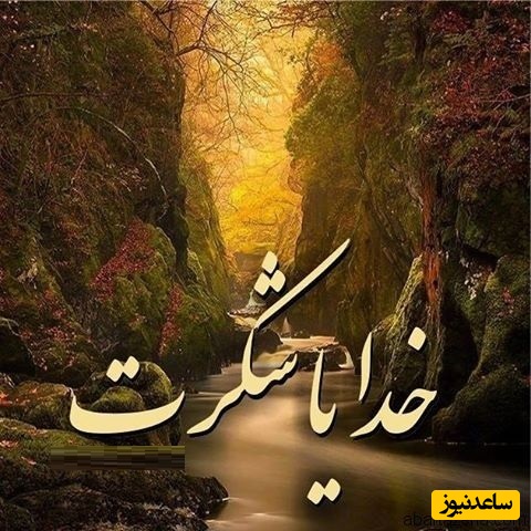 شکرگزاری صبحگاهی/ صبح که می‌شود،
می‌فهمم هنوز هزار دلیل برای ادامه دادن هست.
خدایا شکرت برای نعمت نفس کشیدن.../ شکرگزاری امروز 7 خرداد 1405+ ویدئو