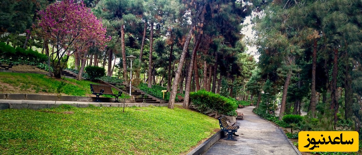 فرار از شلوغی پایتخت؛ معرفی بهترین پارک‌های جنگلی تهران برای نفس تازه کردن+ عکس