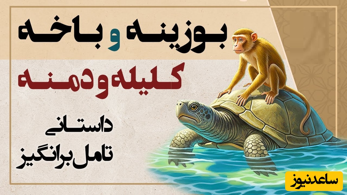 بینظیرترین داستان کلیله و دمنه؛ رفاقت بوزینه و باخه/ بلای وحشتناکی که حسادت و دخالتهای دیگران سر زندگی می آورد