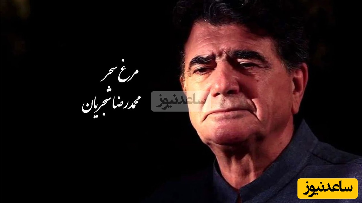 مرغ سحر، شورانگیزترین اجرای زنده استاد شجریان با تصنیف ملک‌الشعرا بهار / صدایی که انگار از بهشت اومده، مگه میشه این آواز رو شنید و از خود بیخود نشد +فیلم