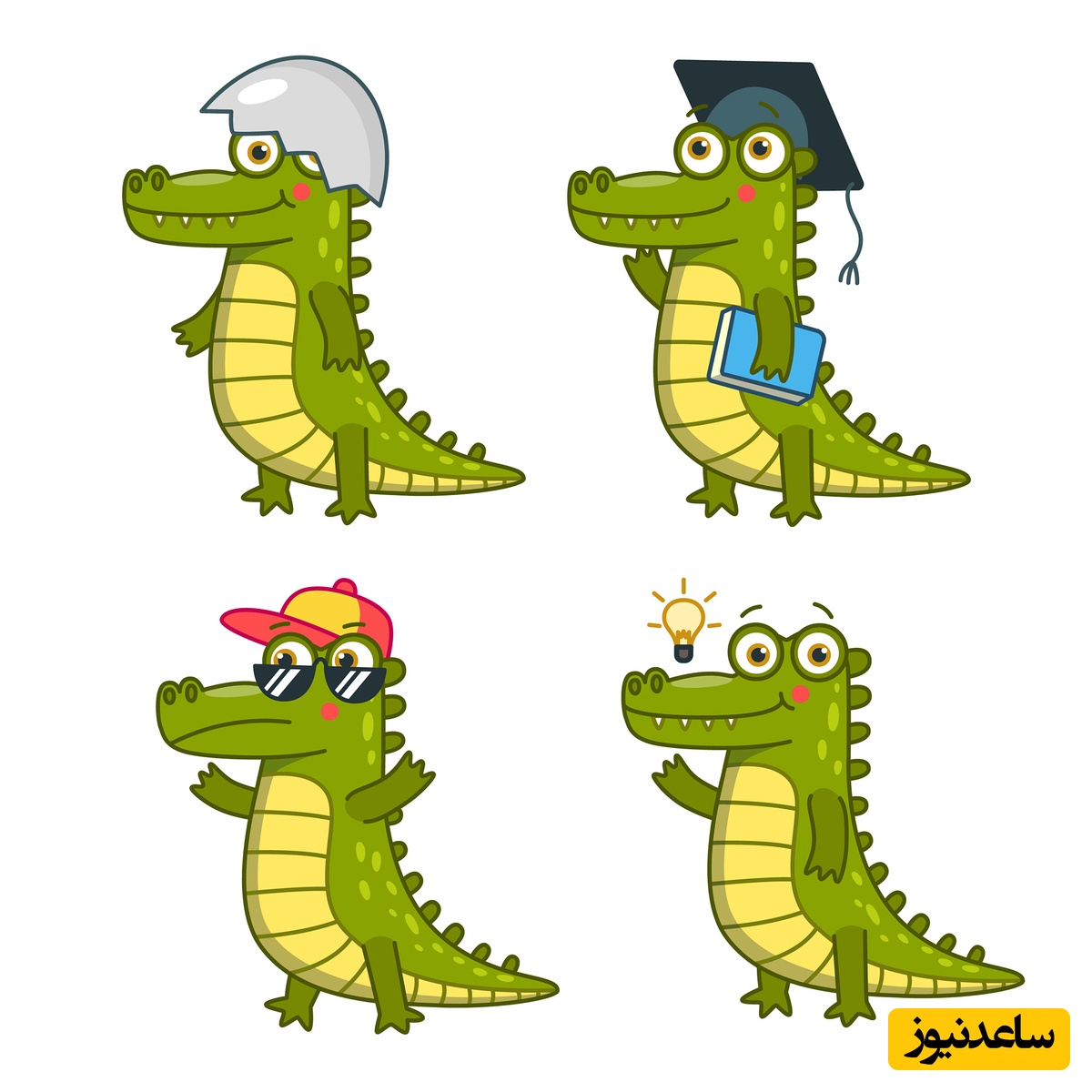 فقط نابغه‌ها در 10 ثانیه این 3 تفاوت بین تمساح‌ها را پیدا می‌کنند!