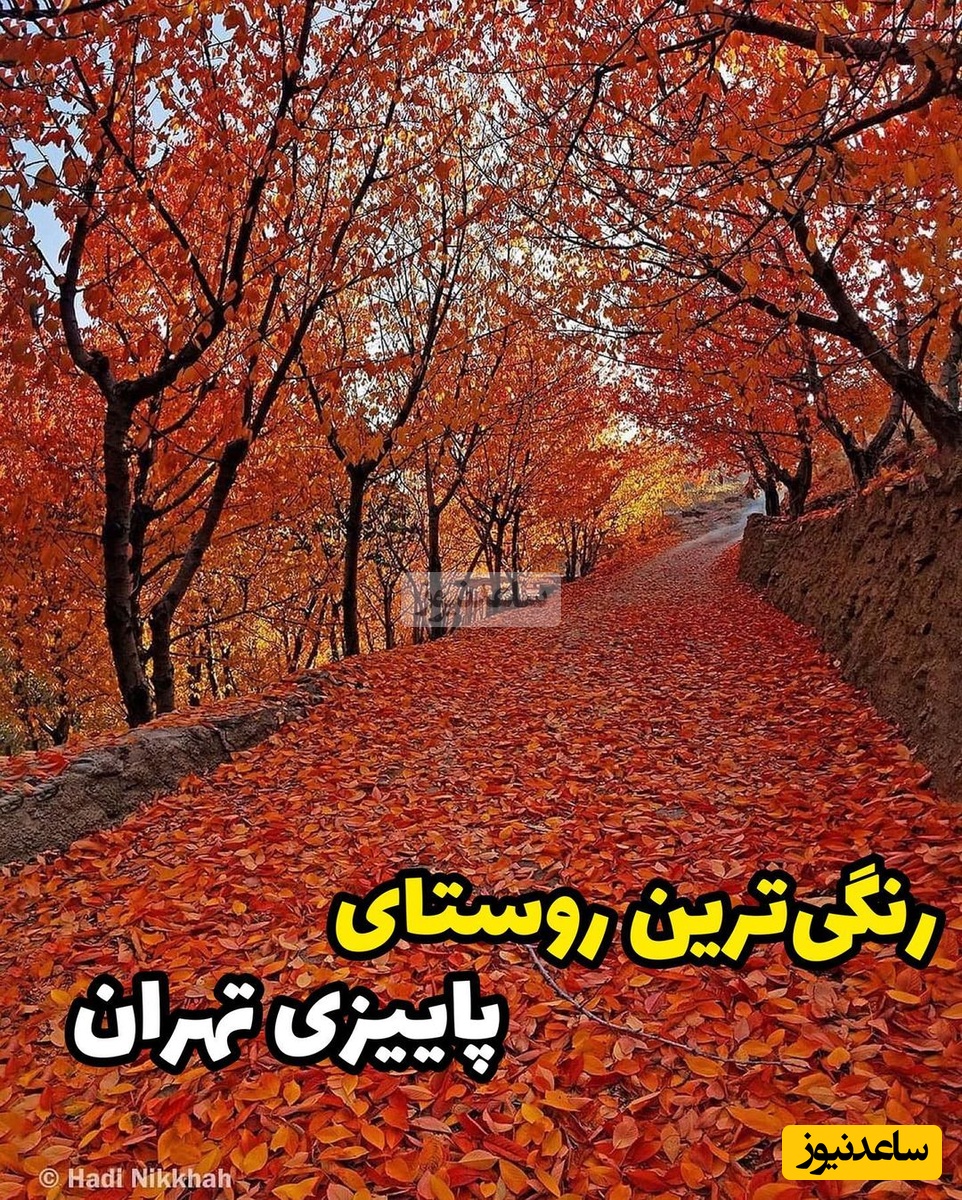 معرفی زیباترین روستاهای اطراف تهران برای تماشای دلبری رنگ‌ پاییز / اگه نرفتی اینجا دست بجنبون تا زیبایی‌های فصل تموم نشده