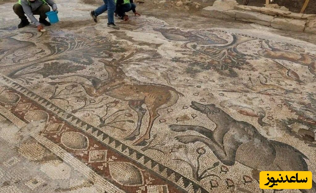 بهشت موزاییکی در زیر مزرعه‌ی کشاورز ترکیه‌ای کشف شد؛ چقدم سالم و تمیز مونده  (+عکس)