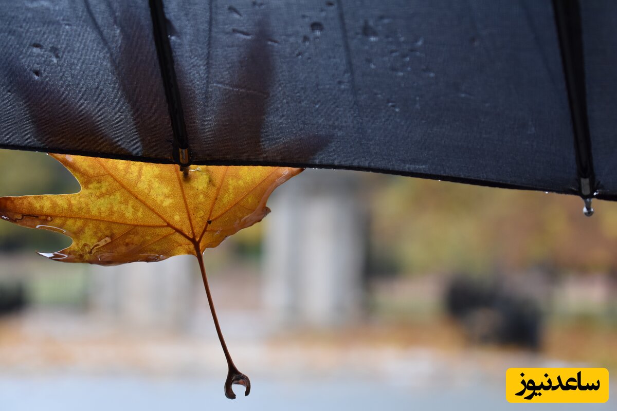 باغ گیاه شناسی