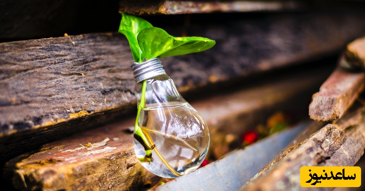 (ویدئو) اگه بی انگیزه شدی و دلیل کافی برای ادامه دادن نداری، این ویدئو انگیزه‌تو 10 برابر می‌کنه!