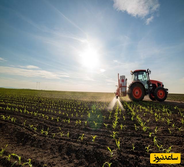 دانلود رایگان دفترچه سوالات و پاسخنامه آزمون دکتری رشته بیوتکنولوژی کشاورزی از سال 93 تا 96