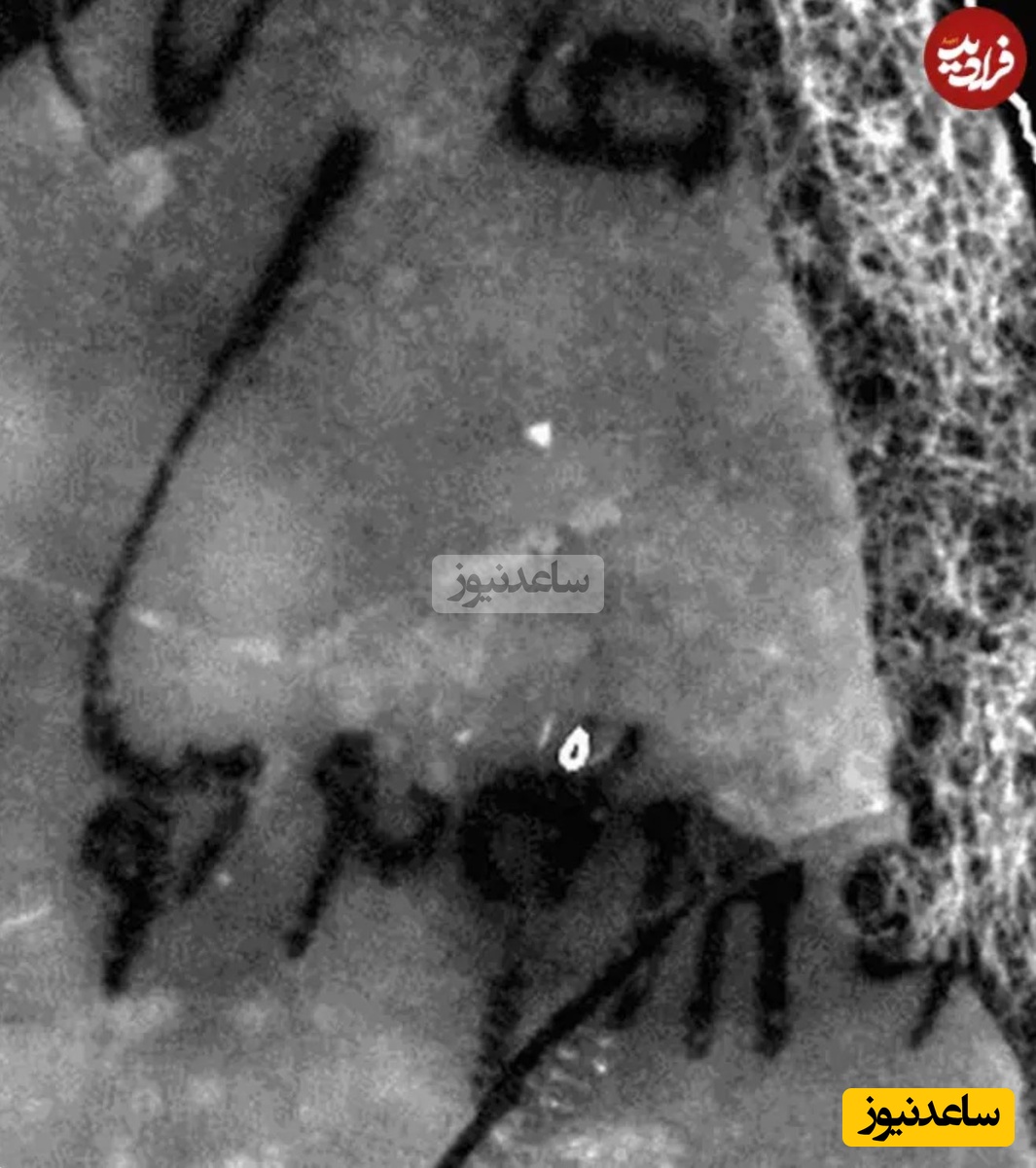 واژهای در یکی از دستنوشتهها که امکان خواندن کل متن را به محققان داد