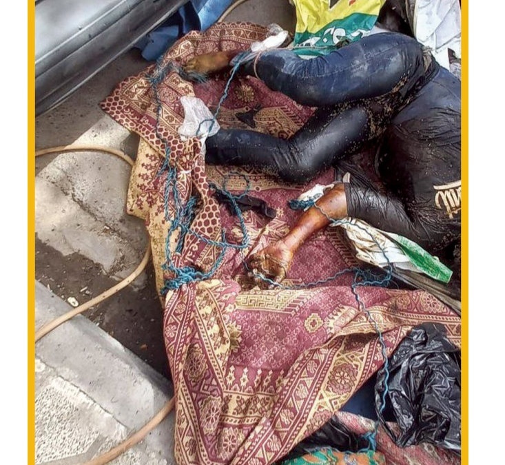 کرم‌های سفید راز  هولناک جسد طناب‌پیچ شده را فاش کرد / معمای هولناک جنایی در خیابان توس مشهد