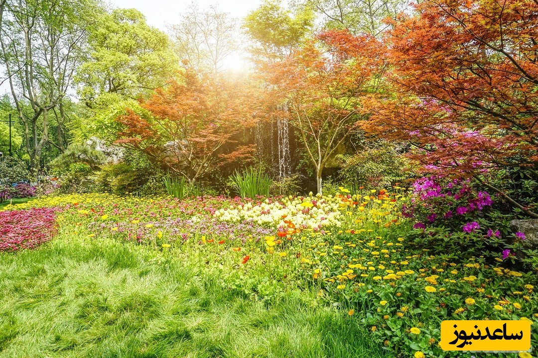 دیدن جنت(بهشت) در خواب چه تعبیری دارد؟ / تعبیر خواب جنات