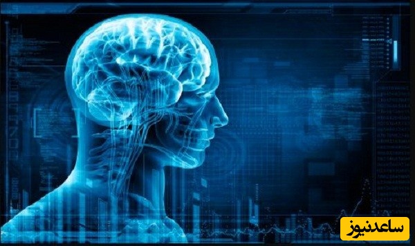 منابع دروس آزمون رشته بیوفیزیک و ضرایب آن در مقطع دکتری