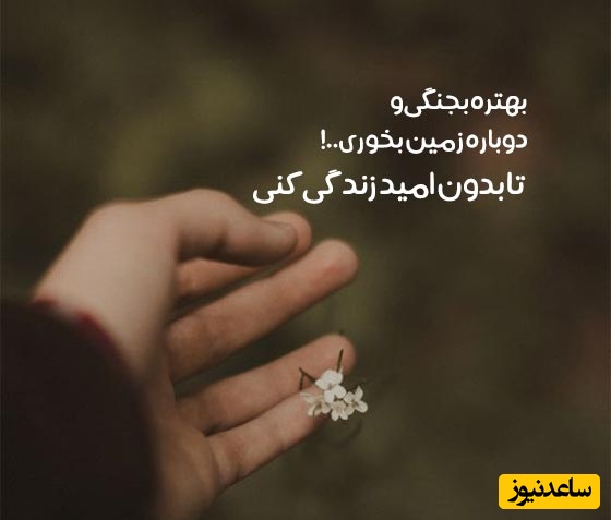 پیام امروز کائنات مخصوص تو؛ برای تو/ شروع کن! حسرت جای پیشرفت را نمی‌گیرد
برگشت به عقب ممنوع! مسیر موفقیت از همین لحظه شروع می‌شود/ پیام انگیزشی امروز 7 دی 1404 + ویدئو