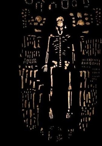 اسکلت مختلط هومو نالدی که با صدها نمونه دیگر احاطه شده، در سال 2013 یافت شد. یک استخوان شست از این اسکلت مختلط برای سفر ویرجین گالاکتیک به زیر مدار انتخاب شد. 
