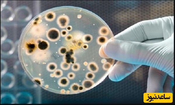 منابع دروس آزمون رشته زیست فناوری میکروبی و ضرایب آن در مقطع دکتری