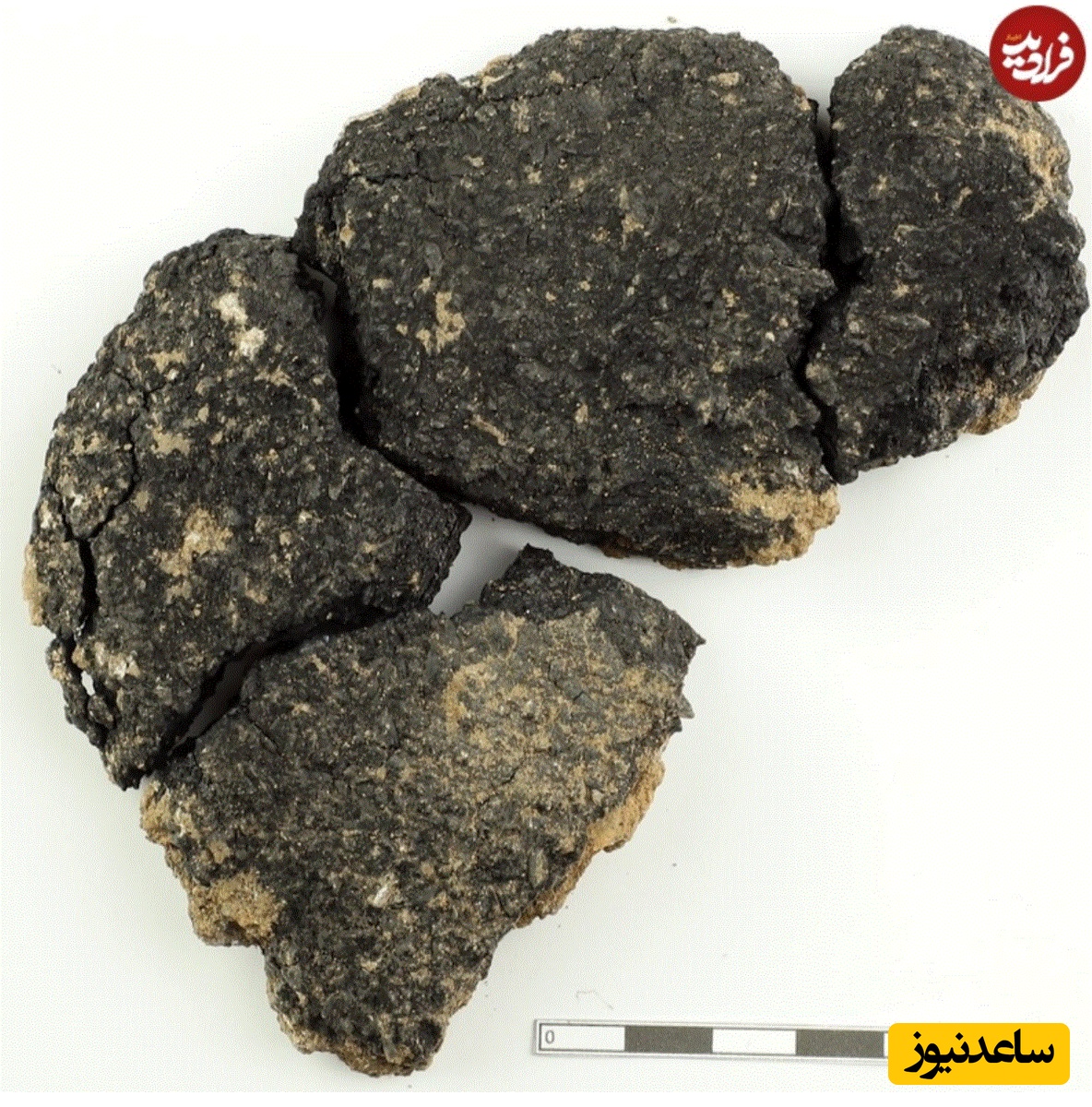 نان کشف شده