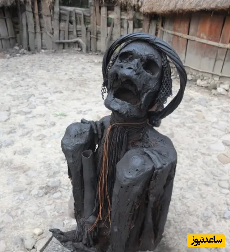 یک مومیایی مدرن که با دود خشک شده از قوم دانی در پاپوآ (اندونزی) 