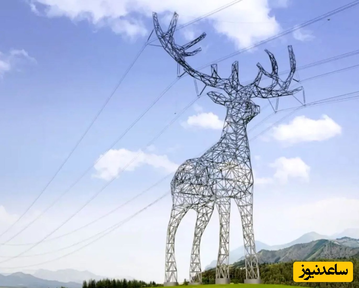 خلاقیت اداره برق  برای طراحی دکل با الهام از حیوانات