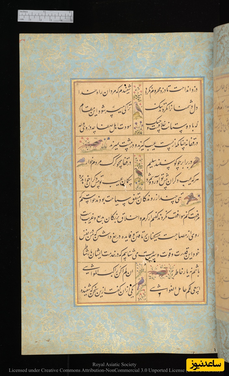 گلستان سعدی به خط محمدحسین کشمیری و نقاشی مانوهار داس نسخهٔ کتابخانهٔ دیجیتال دانشگاه کمبریج