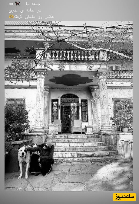 آناهیتا درگاهی