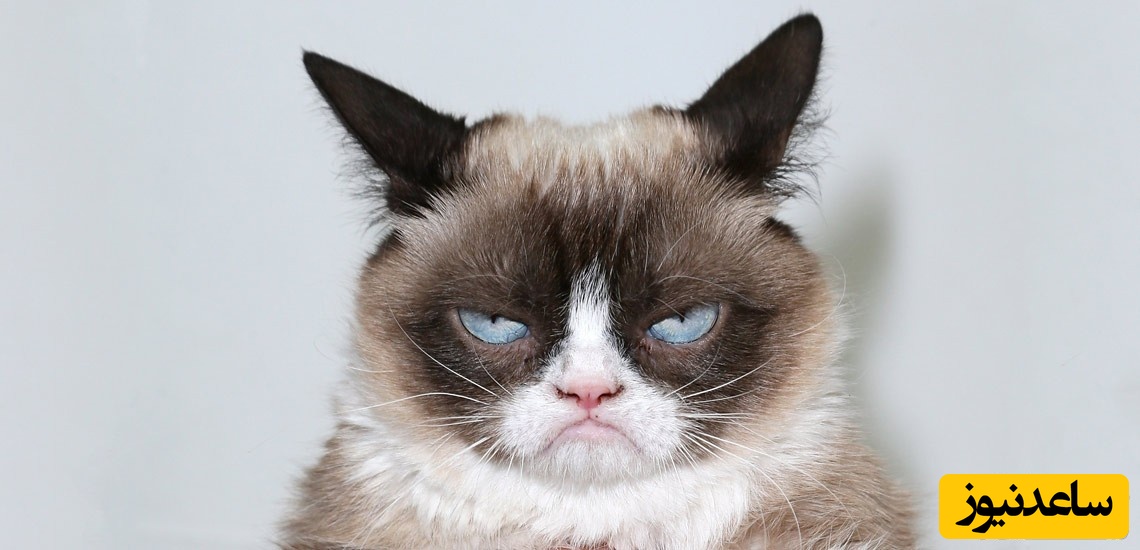 چگونه با افراد کینه ای سازگار شویم؟