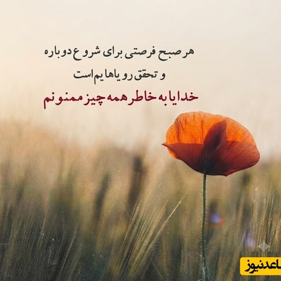 شکرگزاری صبحگاهی/ 12 متن شکرگزاری ناب و حال‌خوب‌کن که هر صبح انگیزه‌ای تازه برای زندگی و لبخند زدن به شما می‌بخشند / شکرگزاری امروز 22 تیر 1405 + ویدئو