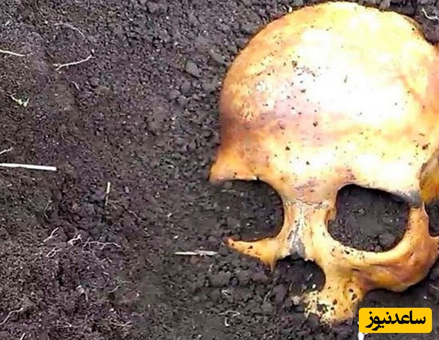 بازسازی چهره زن 45 ساله، 70 سال بعد از پیدا شدن جمجمه اش! +عکس