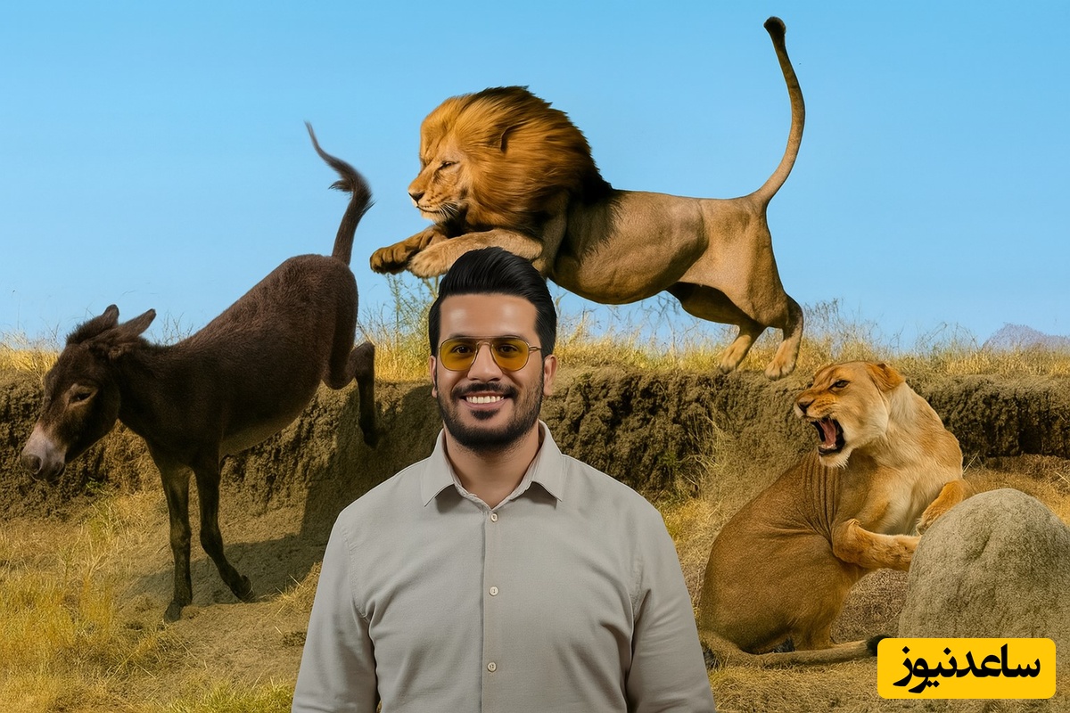 مستند حیات وحش خنده دار با امیرحسین قیاسی: اُلاغه زده شیر رو ترکونده/ لامصب طنزش 10 هیچ از بقیه جلوتره😂 قبول داری یه قلب واسش بذار