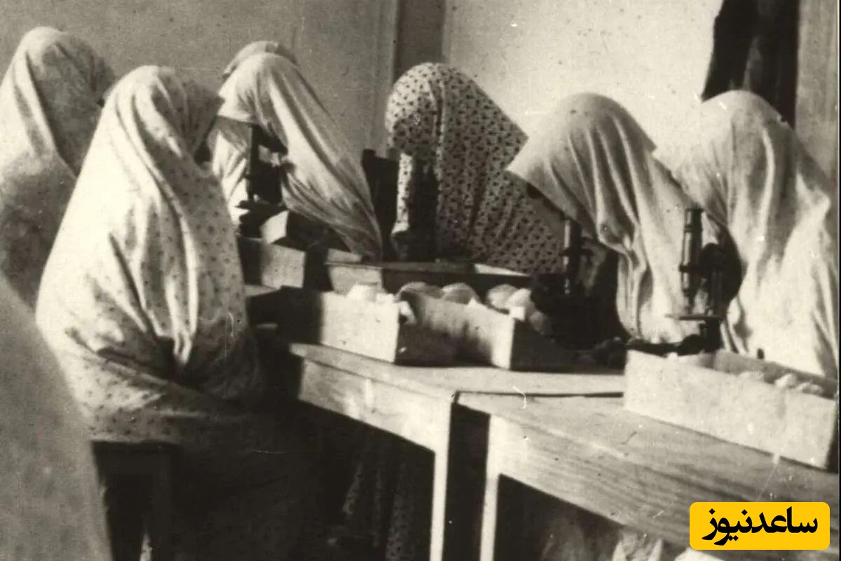 از مکتب‌خانه تا مدرسه «ناموس»؛ عکس‌هایی دیده‌نشده از اولین مدارس دخترانه ایران