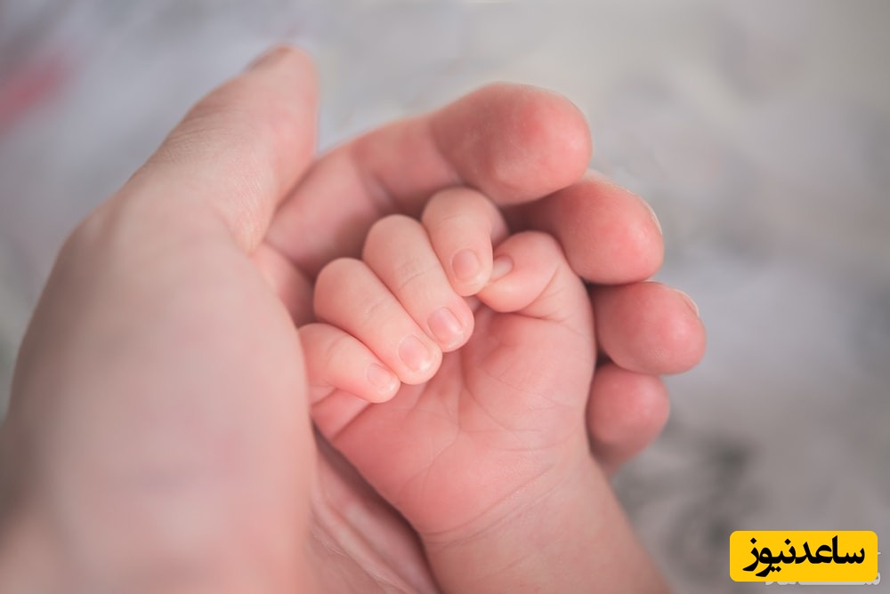 روند تکامل حس لامسه در شیرخواران چگونه است؟