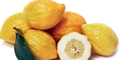 دیدن ترنج (بالنگ) در خواب چه تعبیری دارد؟ / تعبیر خواب ترنج