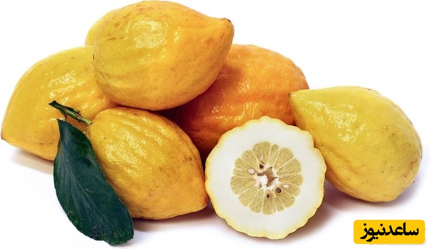 دیدن ترنج (بالنگ) در خواب چه تعبیری دارد؟ / تعبیر خواب ترنج