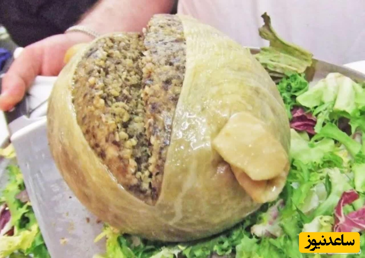 غذاهای عجیب و غریب دنیا