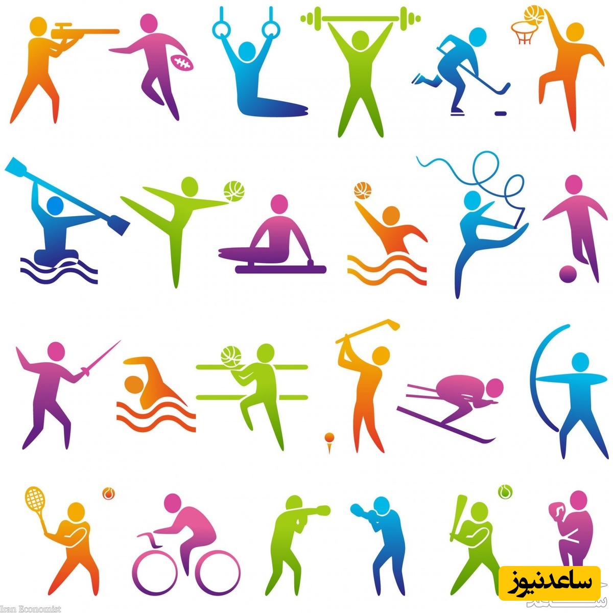 دانلود نمونه رزومه کارشناسی تربیت بدنی گرایش بدنسازی