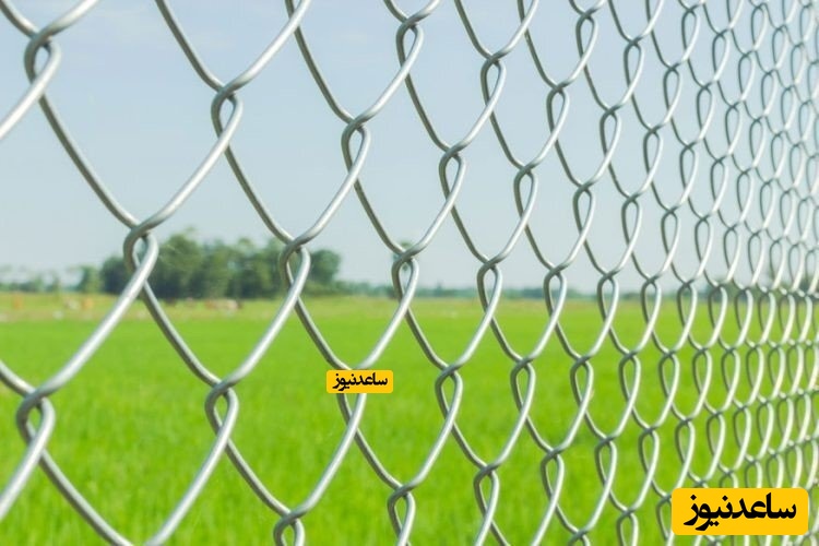 قیمت روز فنس توری ،‌ رابیتس و مفتول گالوانیزه