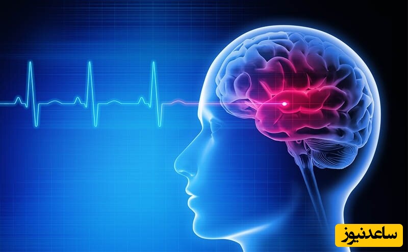 هنگام رابطه جنسی و ارگاسم چه اتفاقی در مغز می‌افتد؟