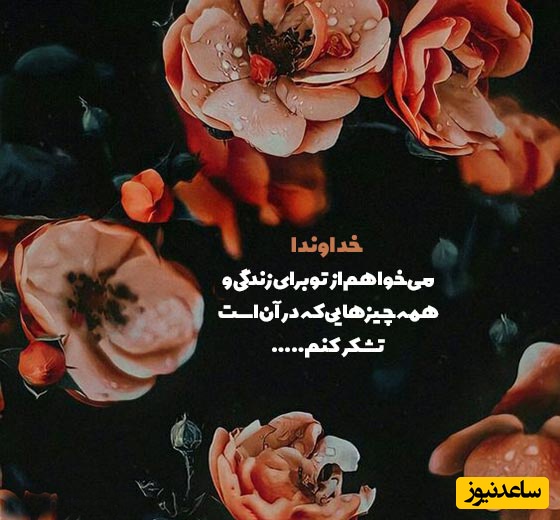 شکرگزاری صبحگاهی/خدایا شکرت برای این فرصت دوباره. برای اینکه هنوز می‌توانم رویا داشته باشم، هنوز می‌توانم عشق بورزم و هنوز می‌توانم زندگی را از نو بسازم/ شکرگزاری امروز 21 اردیبهشت 1405