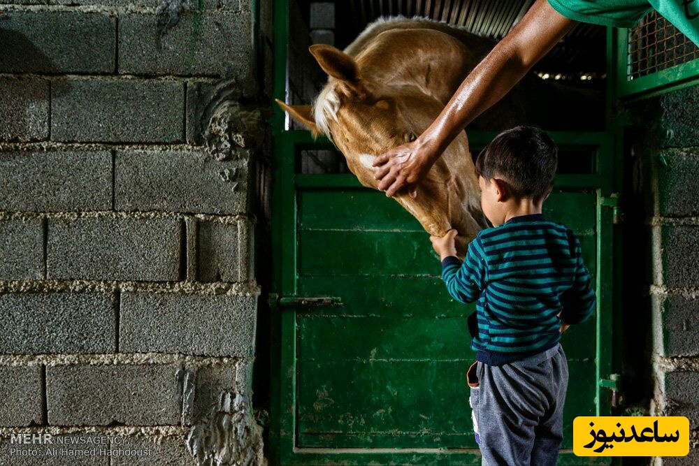 عکس خبری ثبت شده توسط علی حامد حق دوست