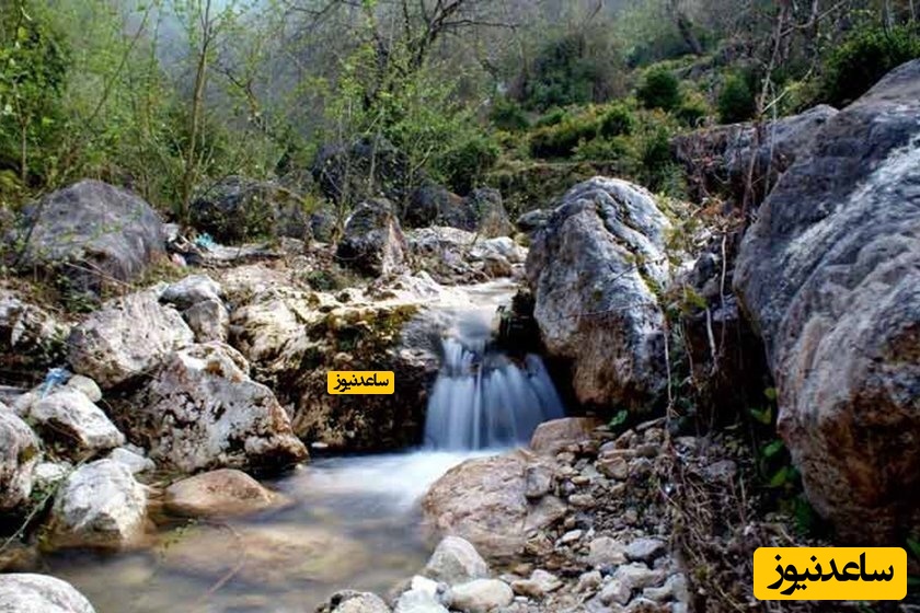 درباره زیبایی های پارک جنگلی آبشار چلندر چه می دانید؟