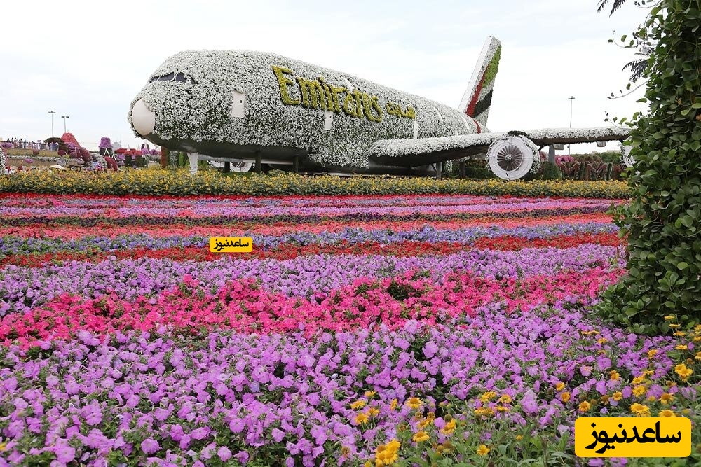 ایرباس A380 امارات