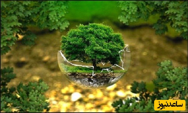 منابع دروس آزمون رشته علوم و مهندسی محیط زیست و ضرایب آن در مقطع دکتری