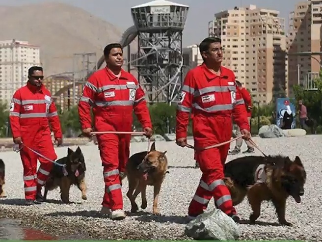 افزایش تعداد سگ‌های زنده‌یاب هلال احمر به 140 قلاده | ویدئو
