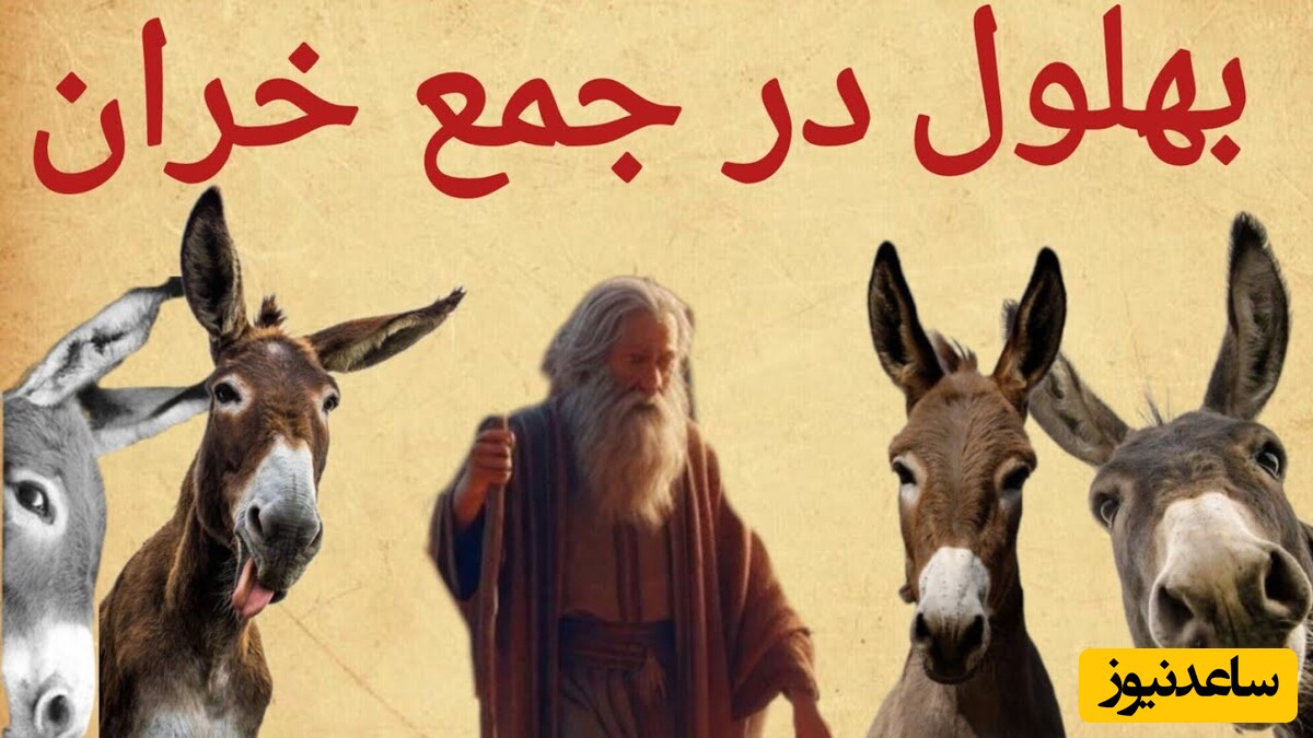 لطیفه های قدیمی و شیرین| بهلول و جمع خران/ وااای از این بهلول! عجب اعجوبه‌ای بوده🤣